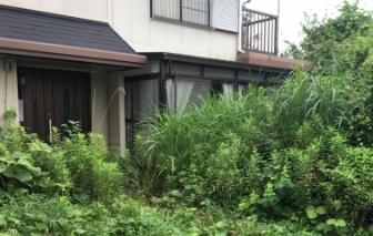 草木に覆われた空き家